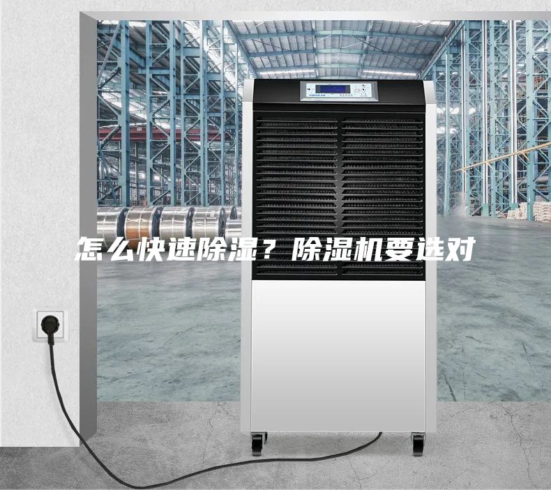怎么快速除濕？除濕機要選對