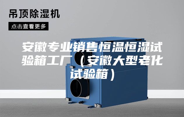 安徽專業銷售恒溫恒濕試驗箱工廠（安徽大型老化試驗箱）