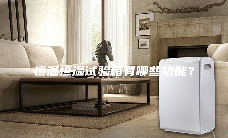 恒溫恒濕試驗(yàn)箱有哪些功能？