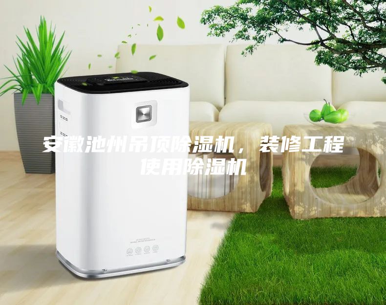 安徽池州吊頂除濕機，裝修工程使用除濕機