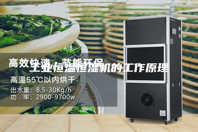 工業(yè)恒溫恒濕機的工作原理