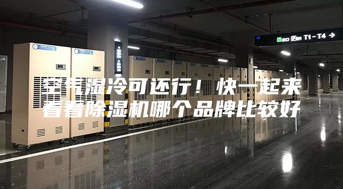 空氣濕冷可還行！快一起來看看除濕機哪個品牌比較好