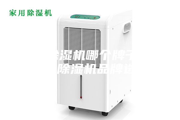 工業(yè)除濕機(jī)哪個(gè)牌子好 工業(yè)除濕機(jī)品牌選擇