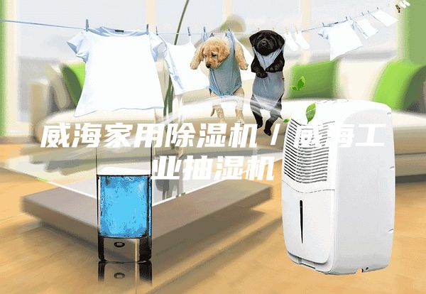 威海家用除濕機／威海工業抽濕機