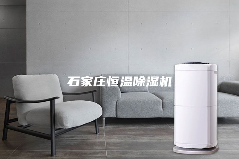 石家莊恒溫除濕機(jī)