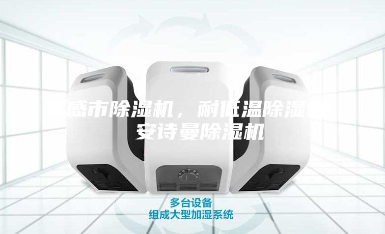 孝感市除濕機,耐低溫除濕機 安詩曼除濕機