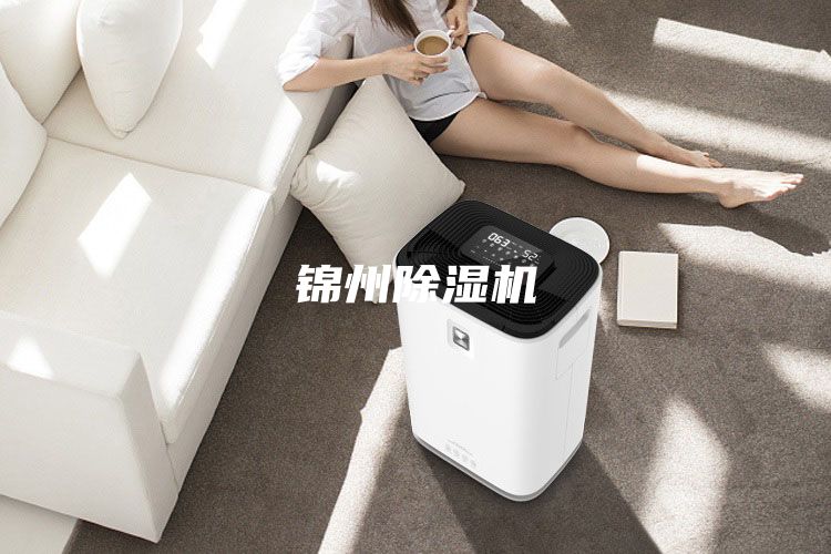 錦州除濕機