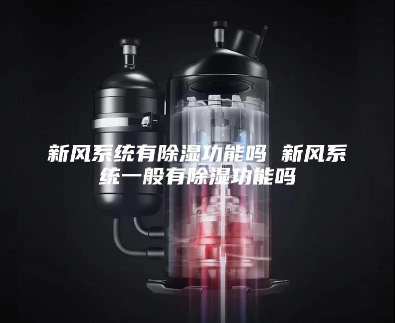 新風(fēng)系統(tǒng)有除濕功能嗎 新風(fēng)系統(tǒng)一般有除濕功能嗎