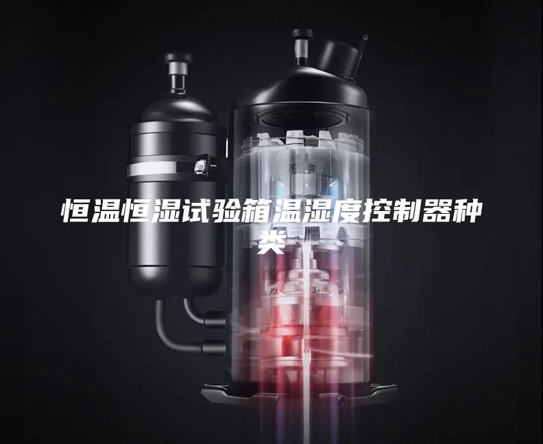 恒溫恒濕試驗箱溫濕度控制器種類