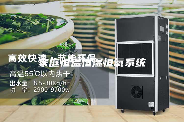 家庭恒溫恒濕恒氧系統