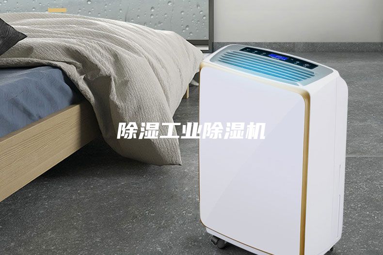 除濕工業(yè)除濕機(jī)