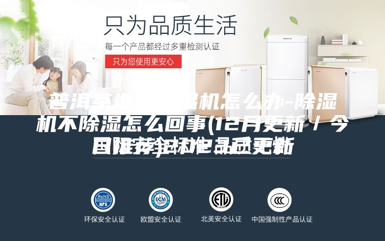 普洱茶沒有除濕機(jī)怎么辦-除濕機(jī)不除濕怎么回事(12月更新/今日推薦)2023已更新