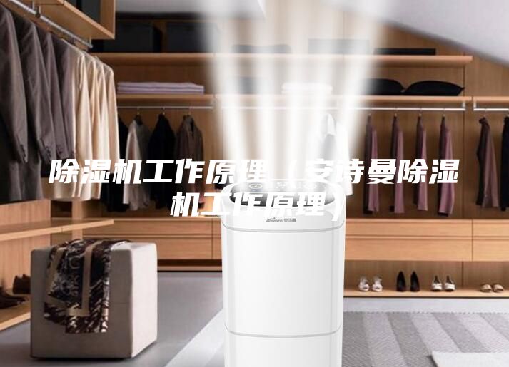 除濕機(jī)工作原理（安詩(shī)曼除濕機(jī)工作原理）