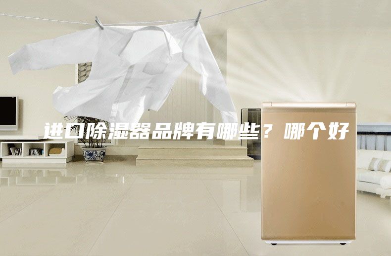 進口除濕器品牌有哪些？哪個好