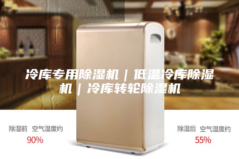 冷庫專用除濕機(jī)｜低溫冷庫除濕機(jī)｜冷庫轉(zhuǎn)輪除濕機(jī)