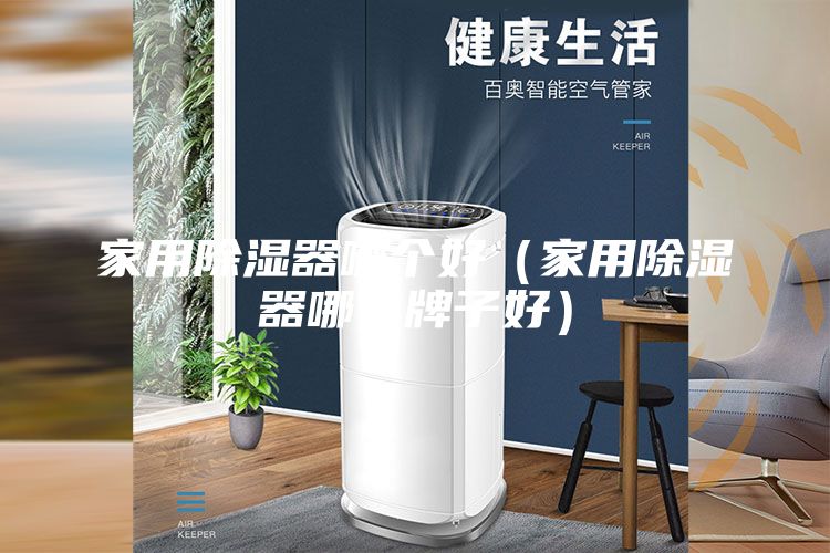 家用除濕器哪個(gè)好（家用除濕器哪個(gè)牌子好）