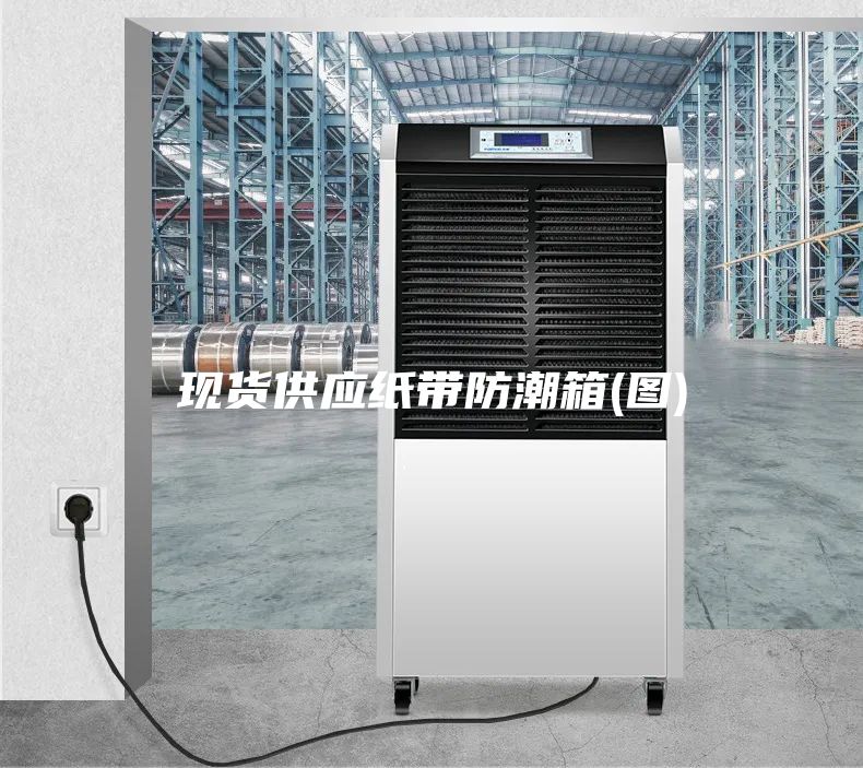 現(xiàn)貨供應(yīng)紙帶防潮箱(圖)