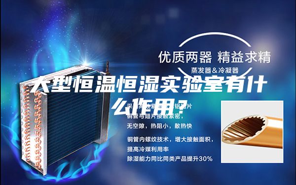 大型恒溫恒濕實驗室有什么作用?