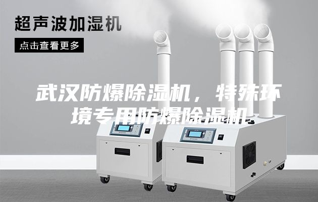 武漢防爆除濕機(jī)，特殊環(huán)境專(zhuān)用防爆除濕機(jī)