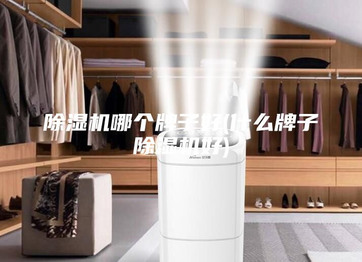除濕機(jī)哪個(gè)牌子好(什么牌子除濕機(jī)好)