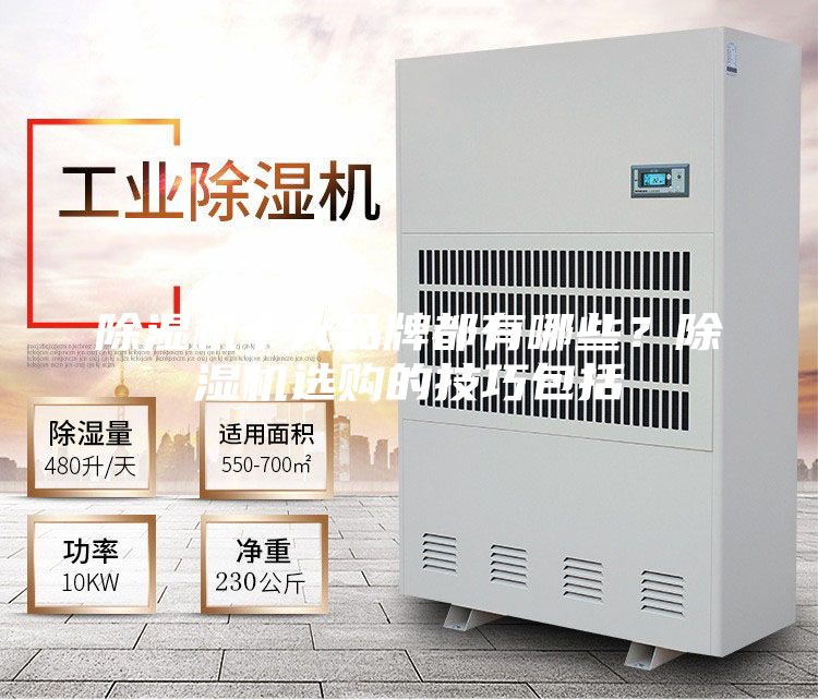 除濕機十大品牌都有哪些?除濕機選購的技巧包括
