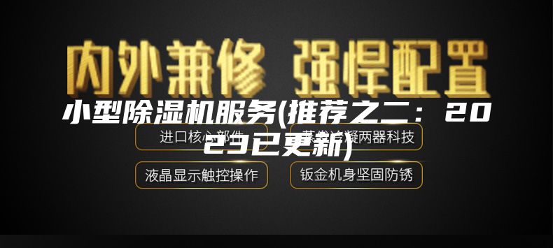 小型除濕機(jī)服務(wù)(推薦之二:2023已更新)