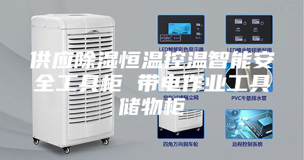 供應(yīng)除濕恒溫控溫智能安全工具柜 帶電作業(yè)工具儲(chǔ)物柜