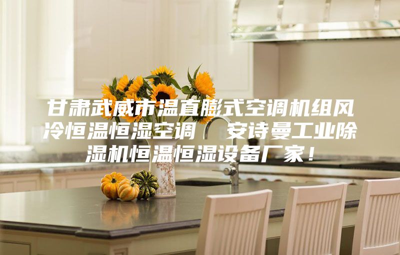 甘肅武威市溫直膨式空調(diào)機組風冷恒溫恒濕空調(diào)  安詩曼工業(yè)除濕機恒溫恒濕設(shè)備廠家！