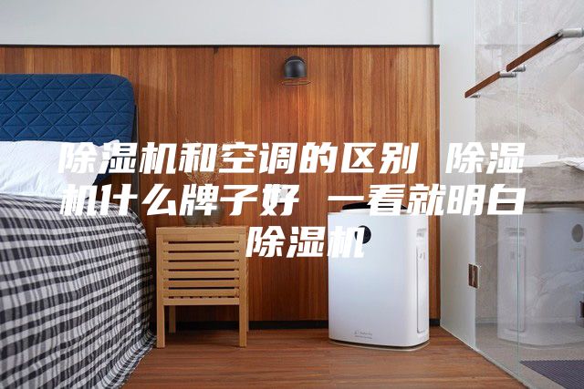 除濕機和空調的區別 除濕機什么牌子好 一看就明白 除濕機