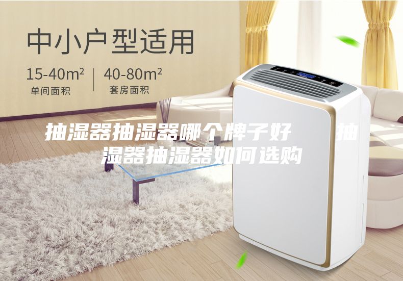 抽濕器抽濕器哪個牌子好   抽濕器抽濕器如何選購