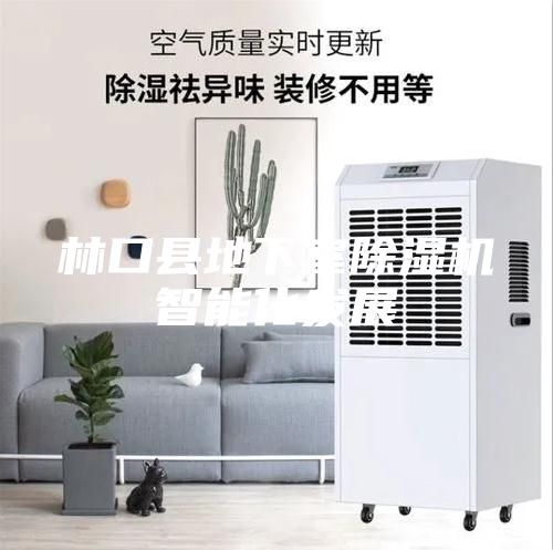 林口縣地下室除濕機(jī)智能化發(fā)展