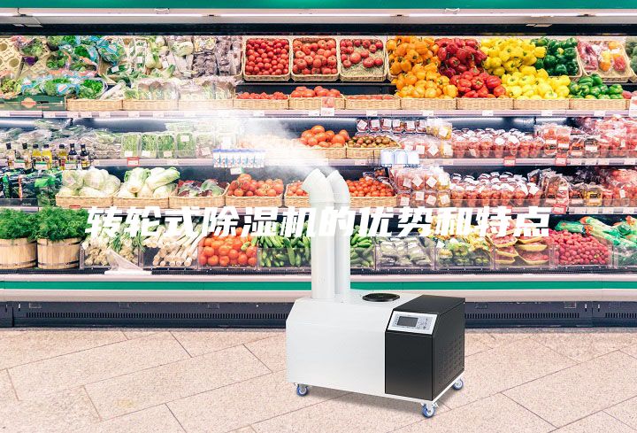 轉輪式除濕機的優勢和特點