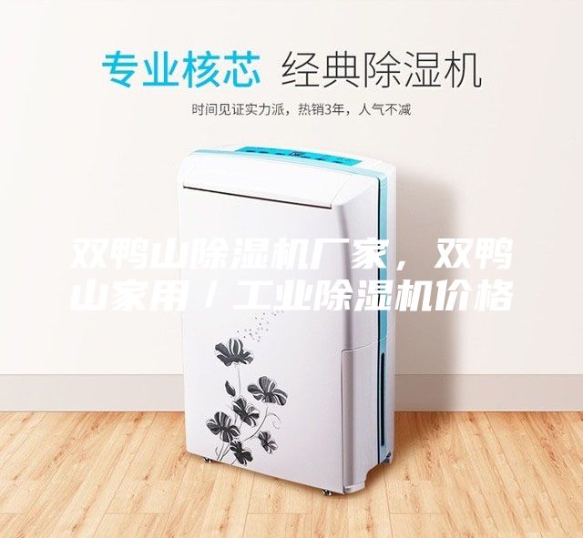 雙鴨山除濕機廠家，雙鴨山家用／工業除濕機價格
