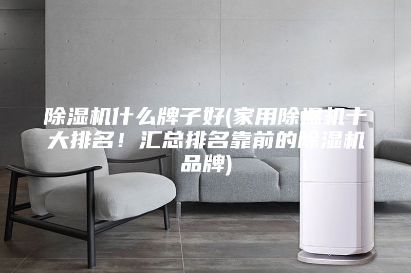 除濕機什么牌子好(家用除濕機十大排名！匯總排名靠前的除濕機品牌)