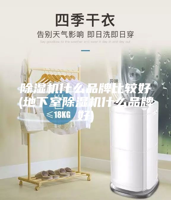 除濕機(jī)什么品牌比較好(地下室除濕機(jī)什么品牌好)