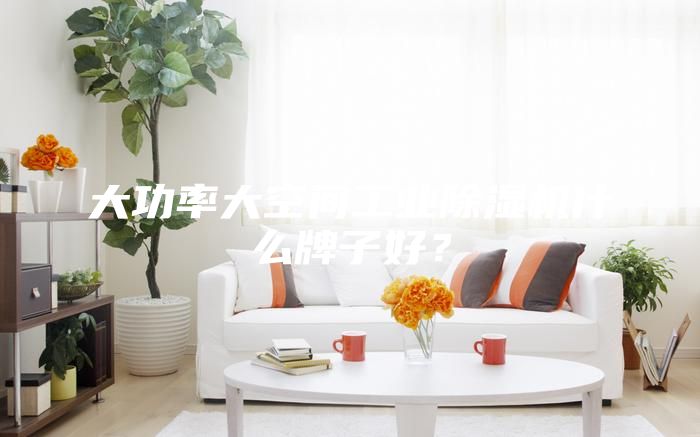 大功率大空間工業(yè)除濕機(jī)什么牌子好？