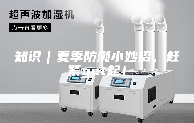 知識｜夏季防潮小妙招，趕緊get起！