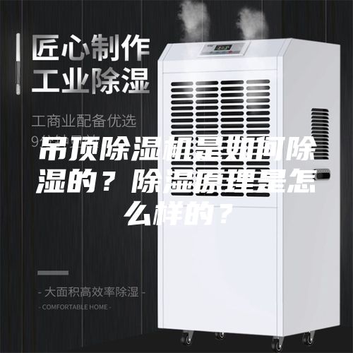 吊頂除濕機(jī)是如何除濕的？除濕原理是怎么樣的？