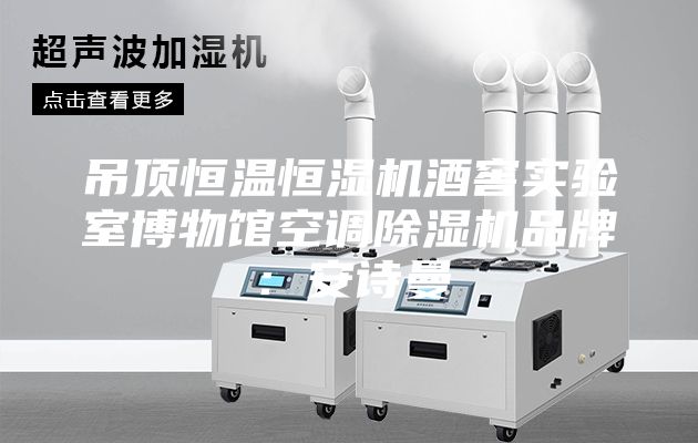 吊頂恒溫恒濕機(jī)酒窖實(shí)驗(yàn)室博物館空調(diào)除濕機(jī)品牌：安詩曼