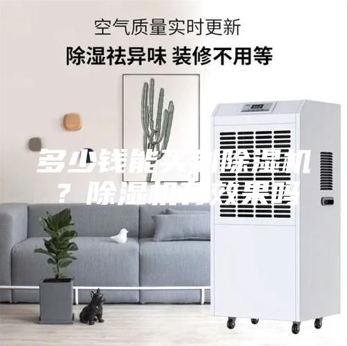 多少錢能買到除濕機？除濕機有效果嗎