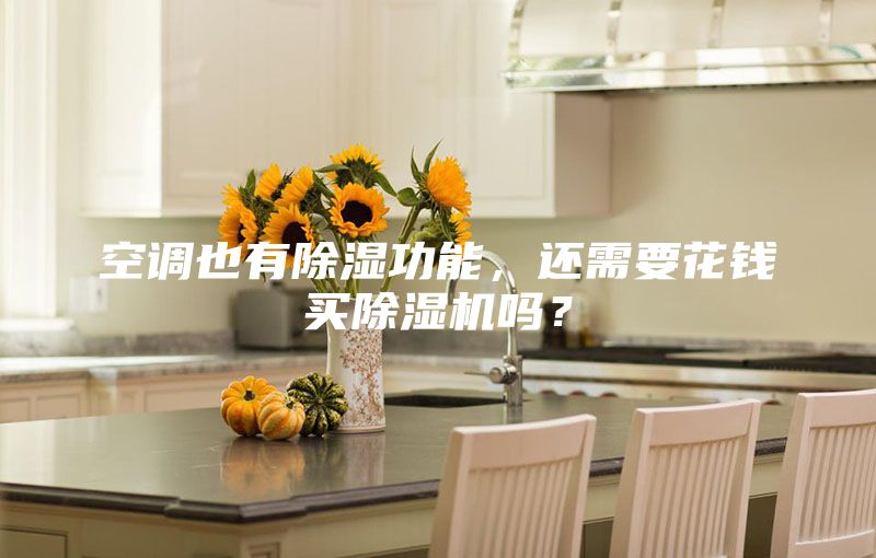 空調(diào)也有除濕功能，還需要花錢買除濕機(jī)嗎？