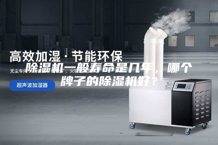 除濕機一般壽命是幾年，哪個牌子的除濕機好？
