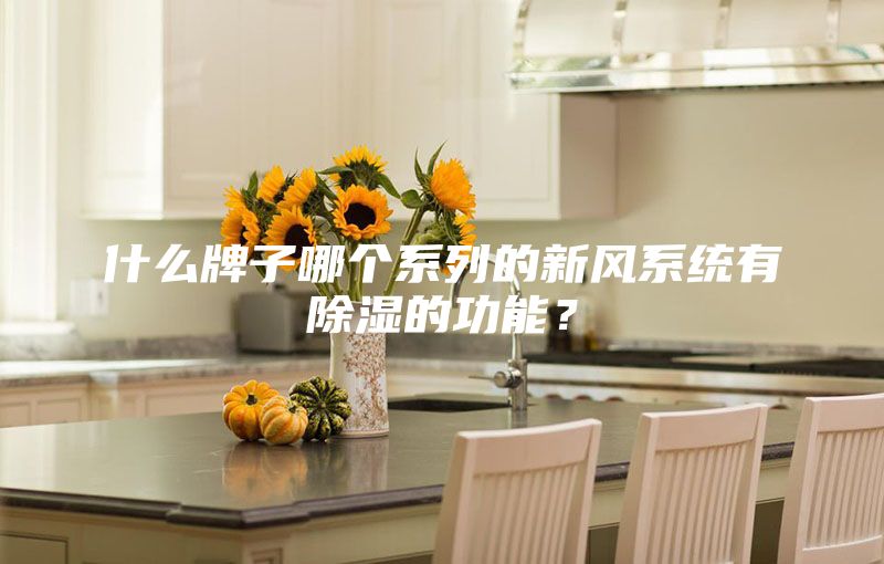 什么牌子哪個(gè)系列的新風(fēng)系統(tǒng)有除濕的功能？