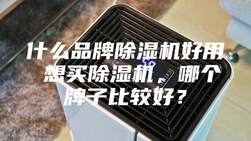 什么品牌除濕機好用 想買除濕機，哪個牌子比較好？