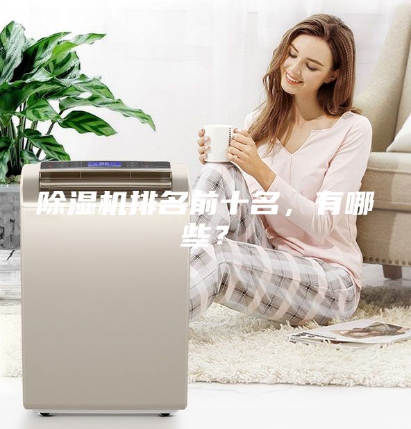 除濕機排名前十名，有哪些？