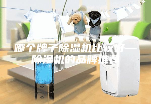 哪個(gè)牌子除濕機(jī)比較好—除濕機(jī)的品牌推薦