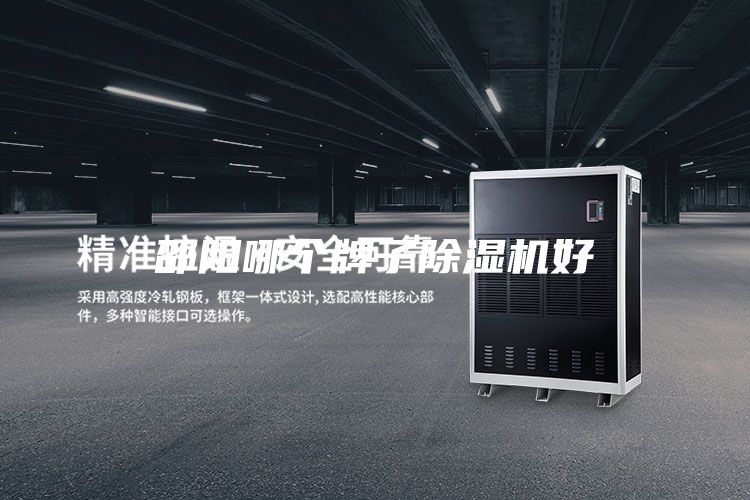 邵陽哪個牌子除濕機好