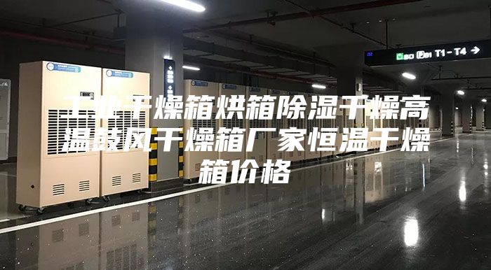 工業(yè)干燥箱烘箱除濕干燥高溫鼓風(fēng)干燥箱廠家恒溫干燥箱價(jià)格