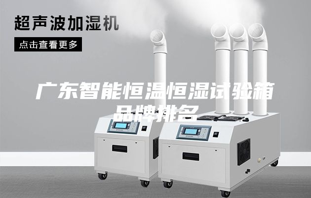 廣東智能恒溫恒濕試驗箱品牌排名