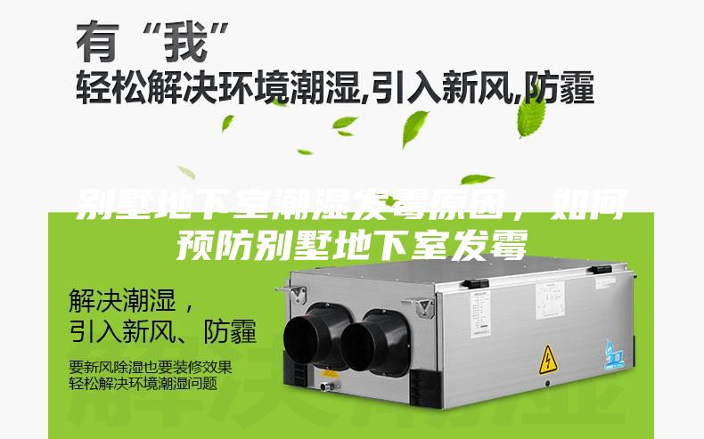 別墅地下室潮濕發霉原因,如何預防別墅地下室發霉